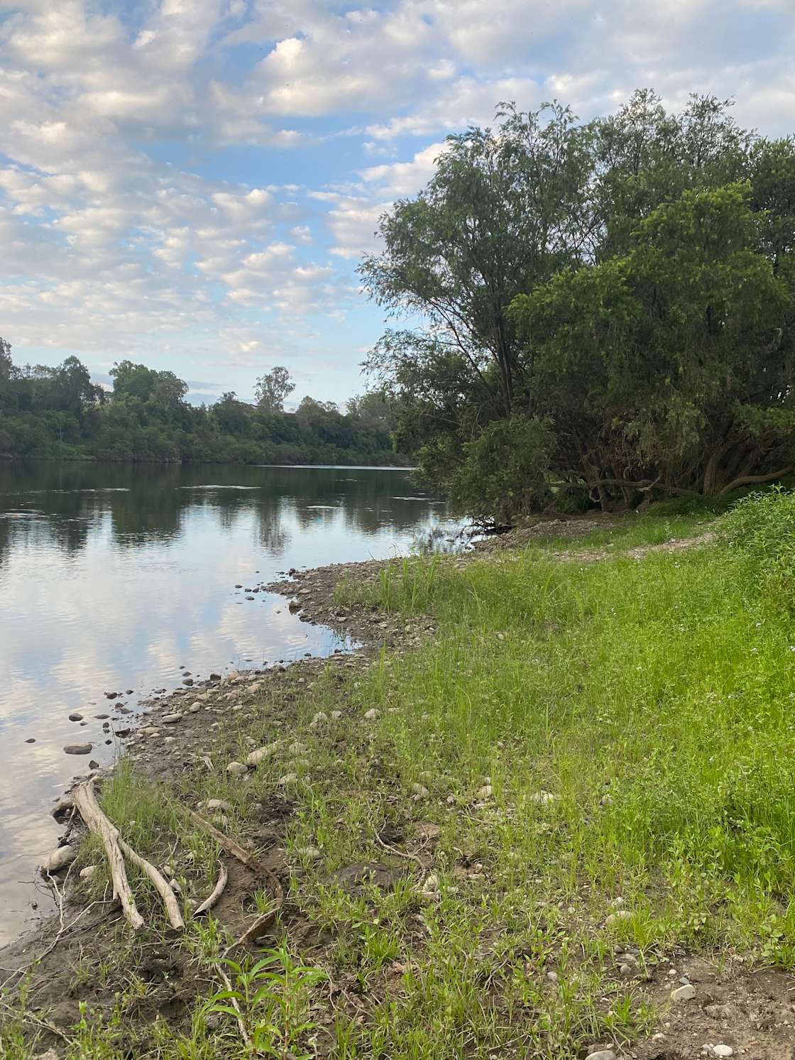 Ellerslie Farm Hipcamp in Kempsey, New South Wales