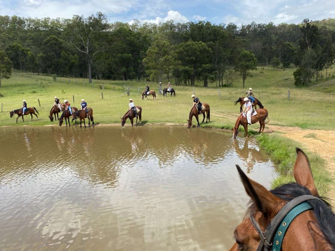 What Is Endurance Riding  Chapman Valley Horse Riding