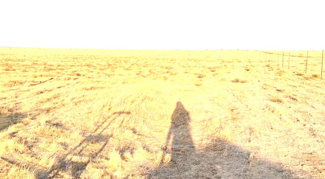 Prosperity Land Hipcamp in Lebec, California