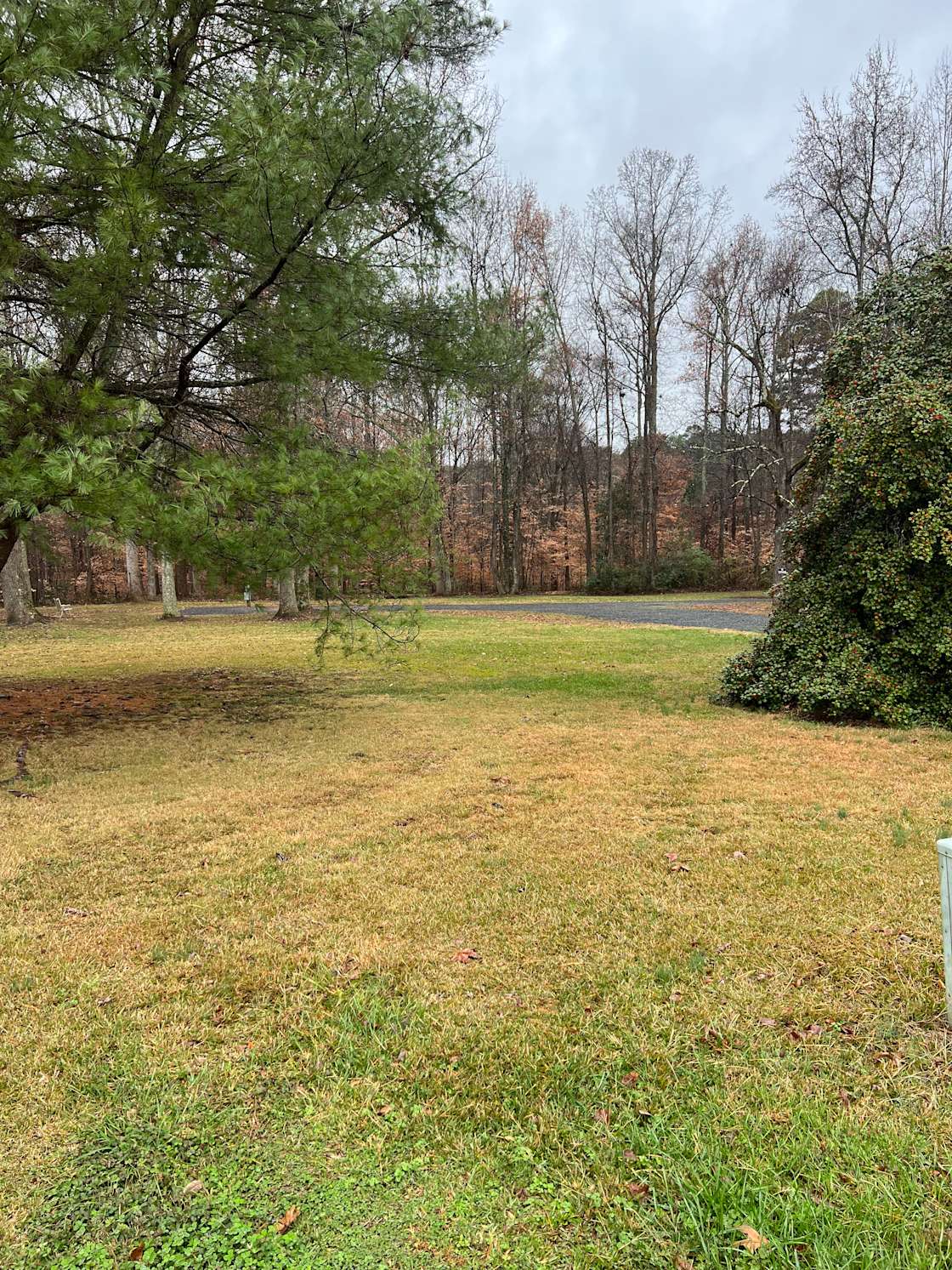 Golden Spot Hipcamp in Gold Hill, North Carolina