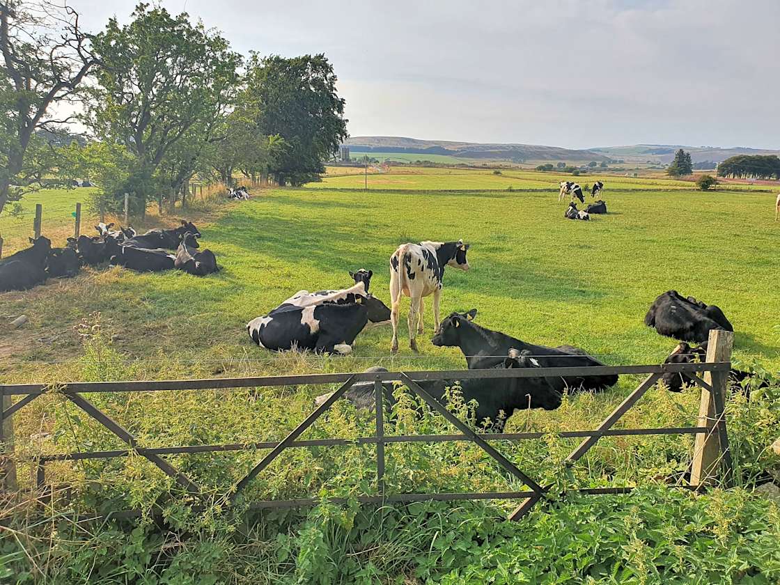 Collierhall Farm Hipcamp in Lanark, Scotland