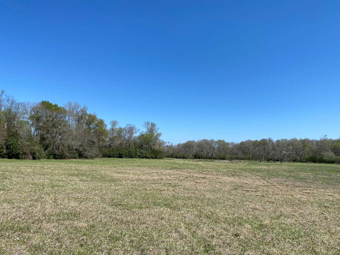 Femme Ranch - Hipcamp in Lovelady, Texas