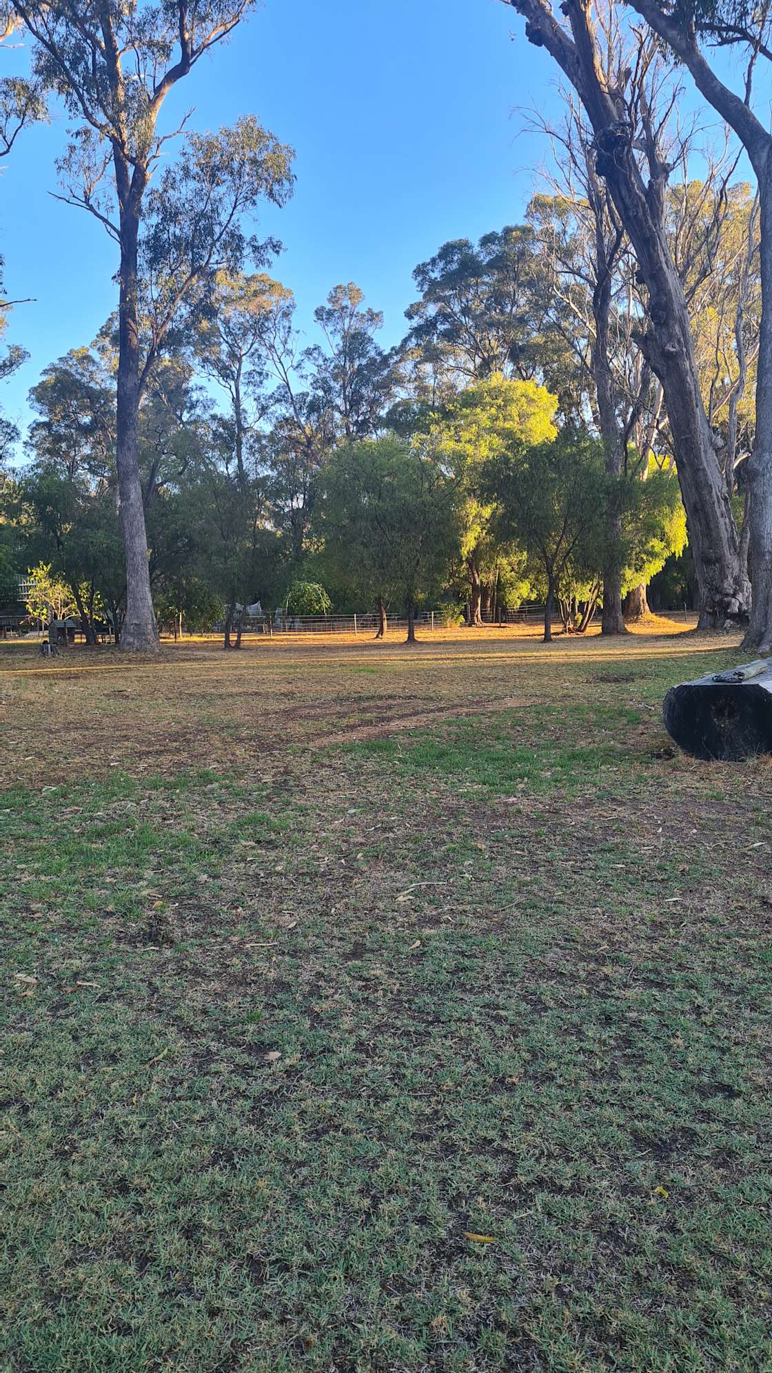 Tuart Tree Campsite - Hipcamp in Reinscourt, Western Australia