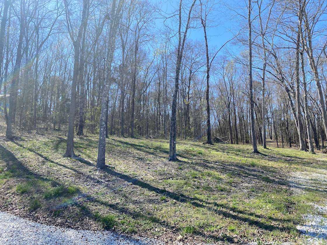 Reedy Tent Retreat Hipcamp in Waterloo, South Carolina