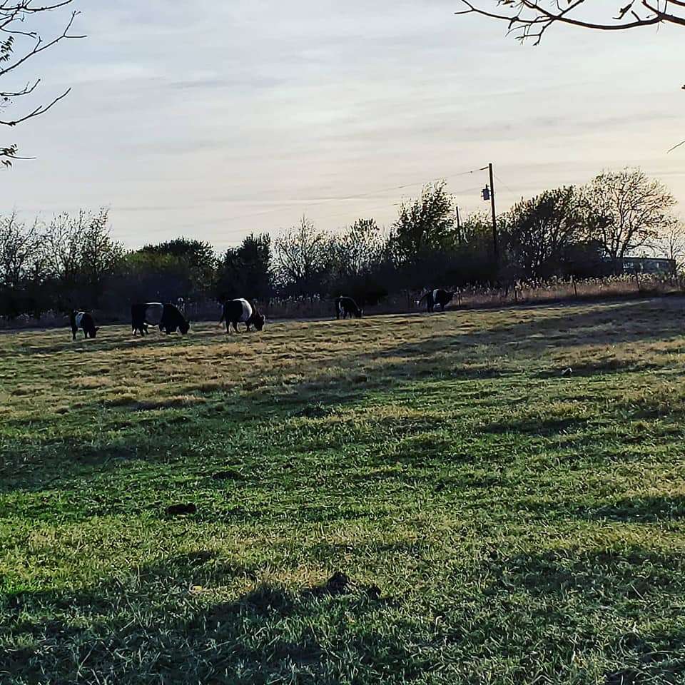 Sweet Cajun Ranch Hipcamp in Riesel, Texas