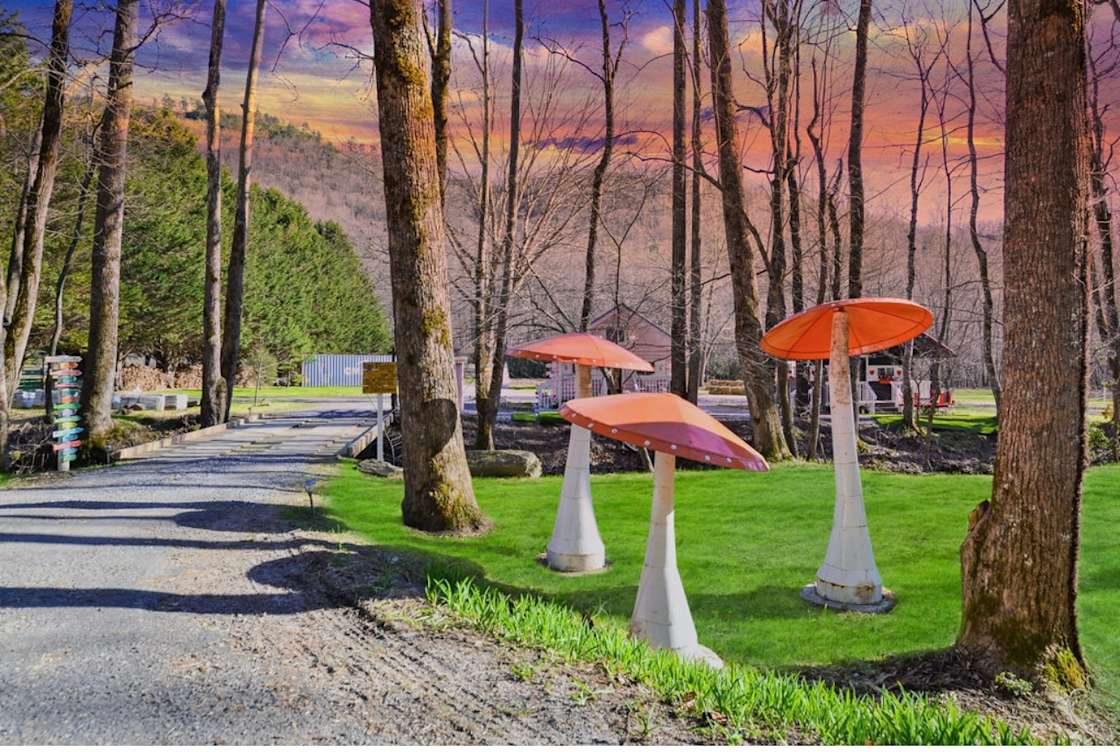 The Enchanted Forest Hipcamp in Hayesville, North Carolina