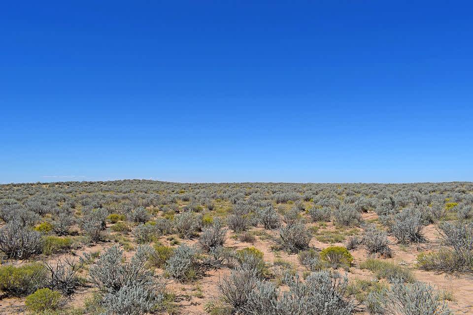 Rio Grande Estates, New Mexico.. Hipcamp in Casa Colorada, New Mexico