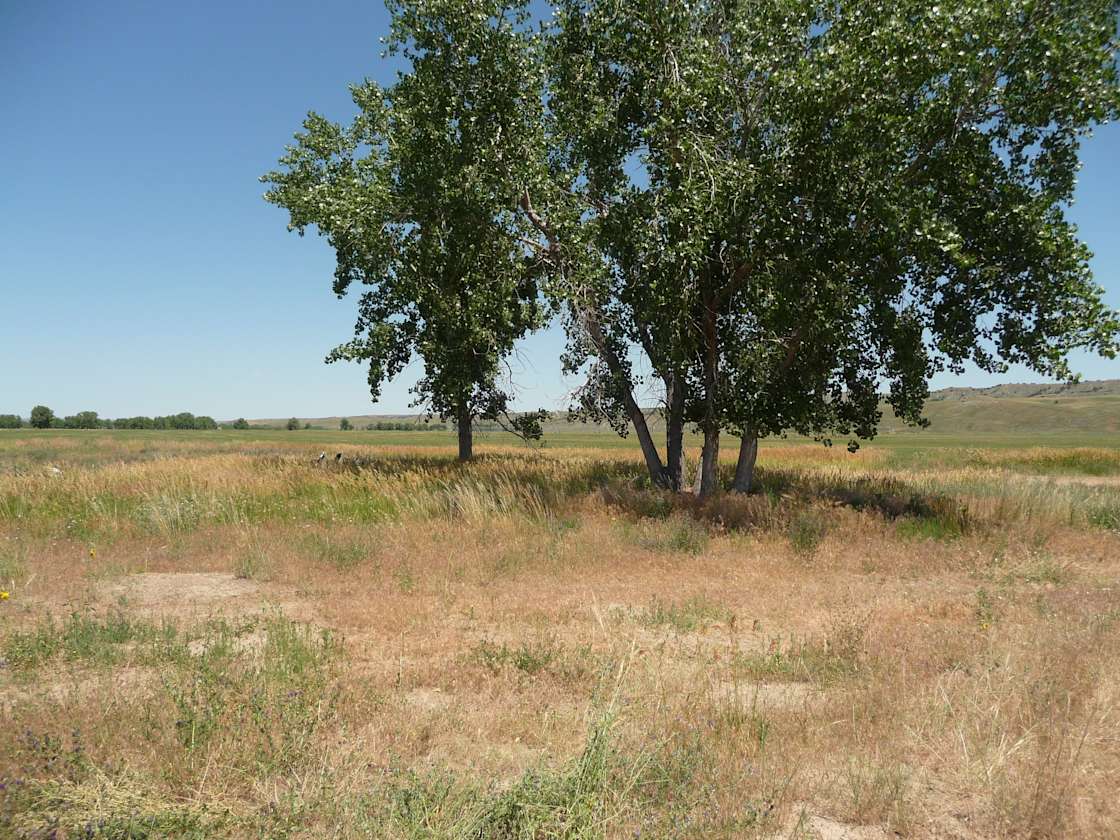 Home Ranch LLC Hipcamp in Wasta, South Dakota