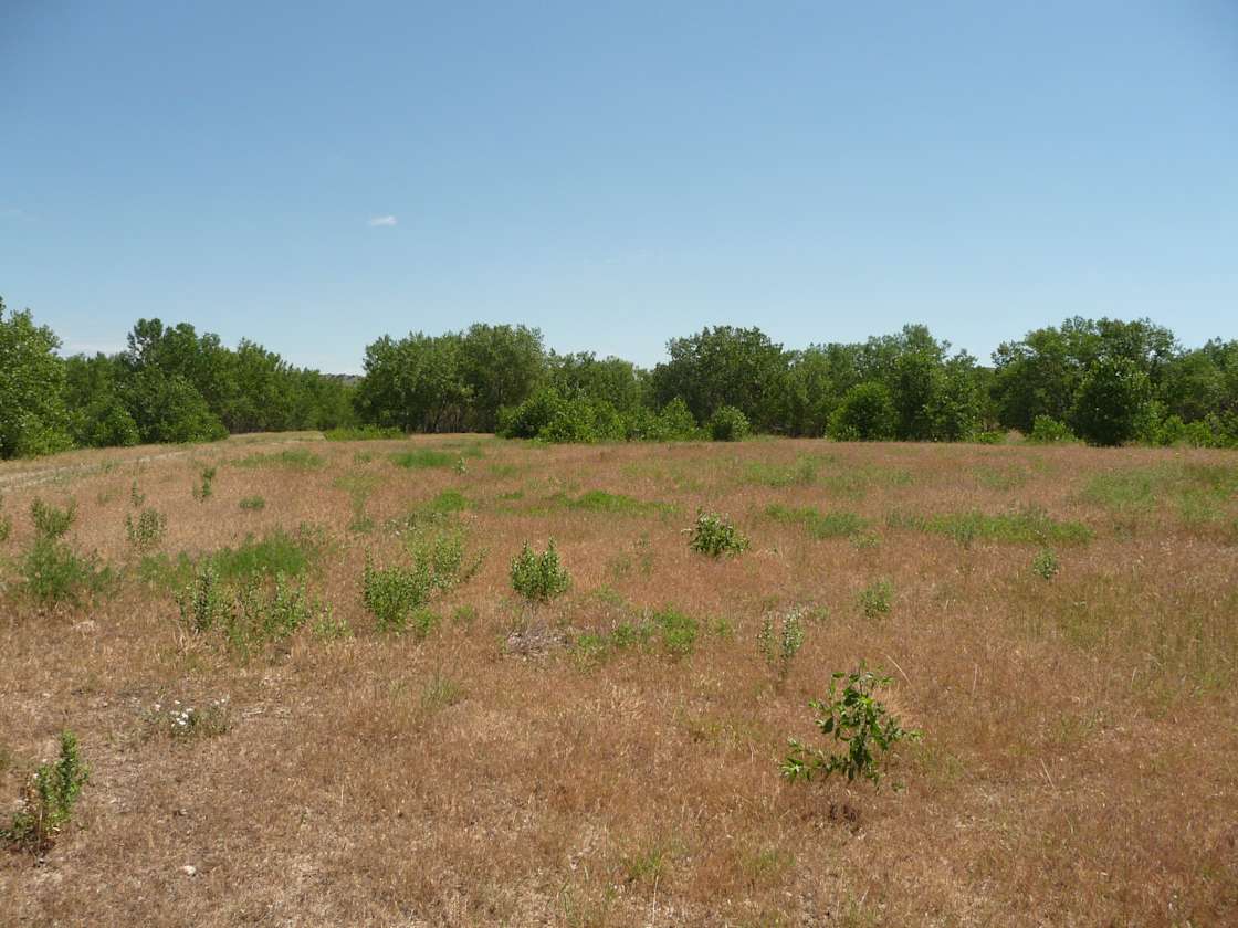 Home Ranch LLC Hipcamp in Wasta, South Dakota