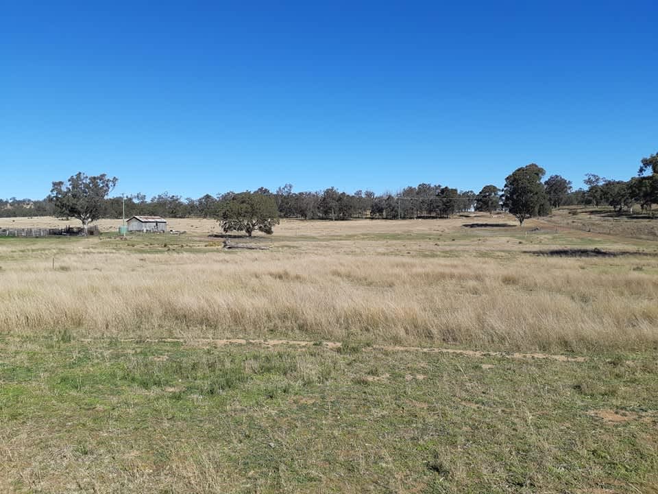 Callemondah Farm Camping - Hipcamp In Warwick, Queensland