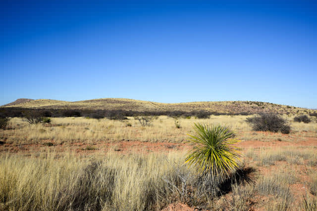 Hippy ranch - Hipcamp in Sunizona, Arizona