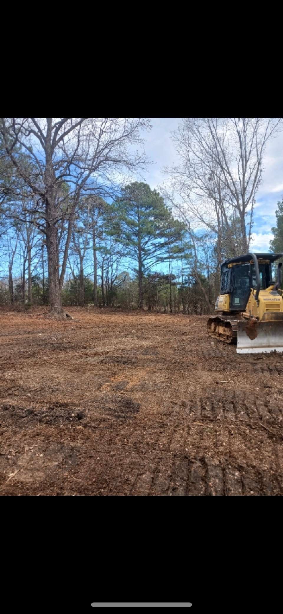 Joshua H.’s Land Hipcamp in Mathiston, Mississippi