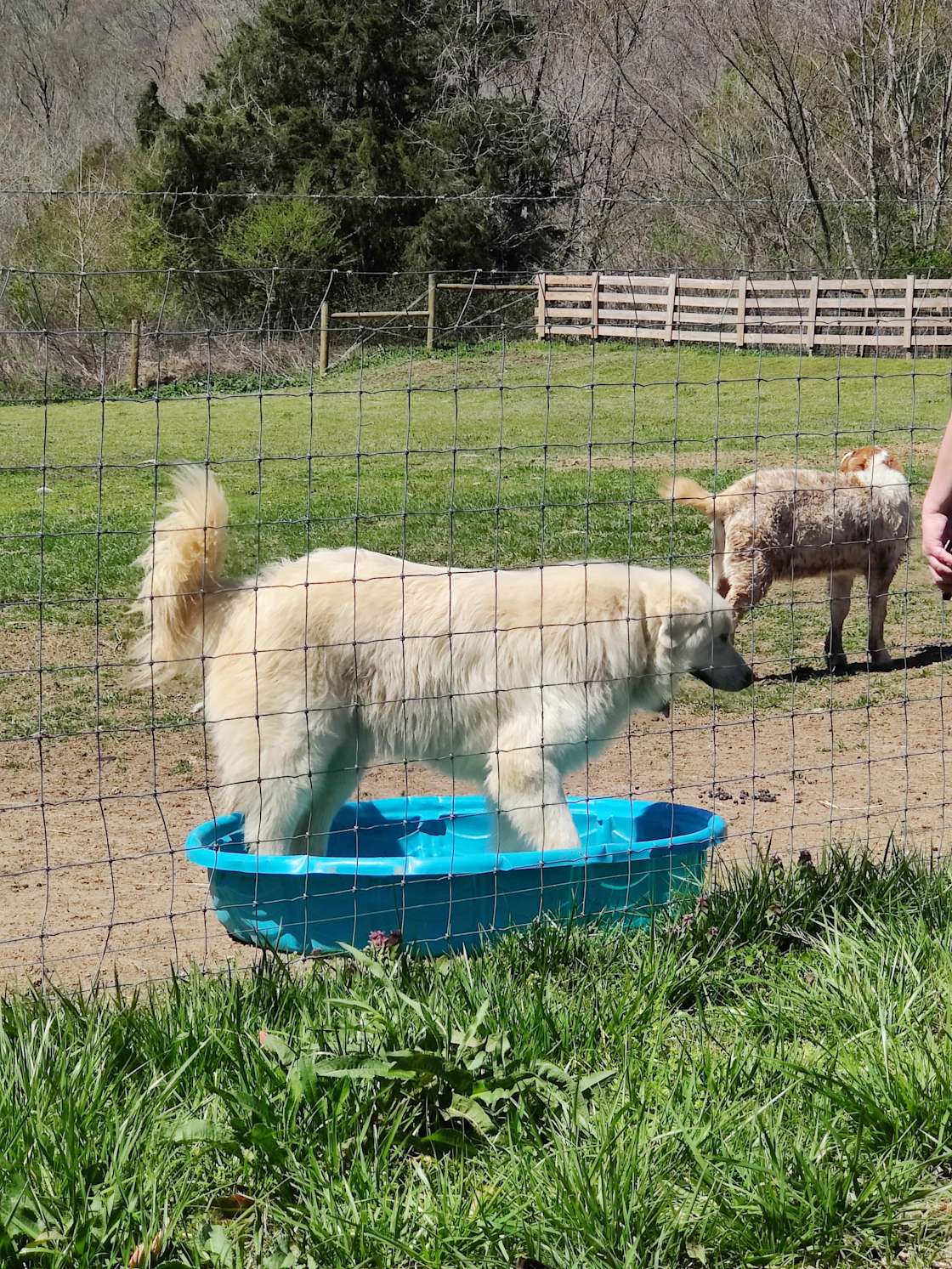Piccolo Farms Paradise Valley Hipcamp in Nashville, Tennessee