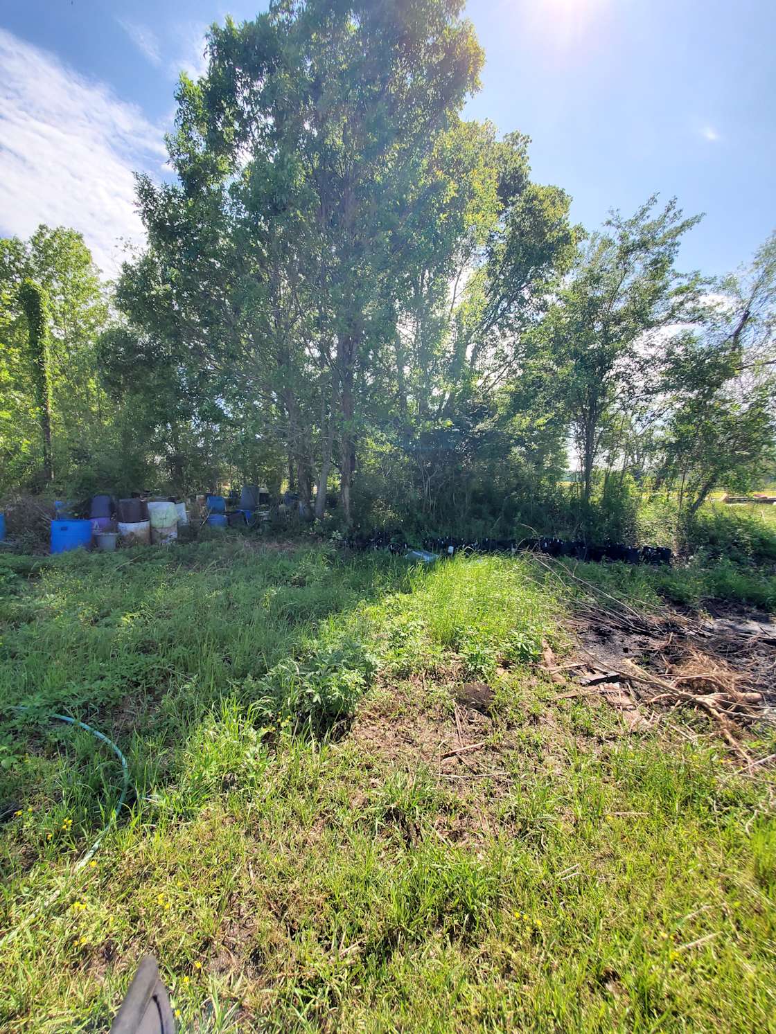 The Sanctuary Project Hipcamp in Arnaudville, Louisiana