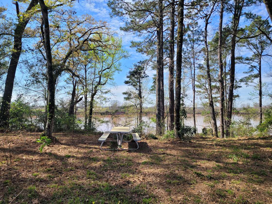 Carolina Bluff Hipcamp in Belcher, Louisiana