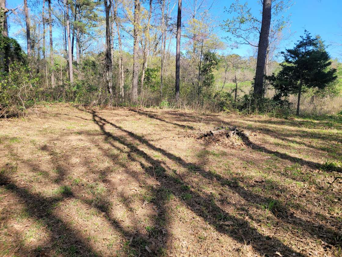 Carolina Bluff Hipcamp in Belcher, Louisiana