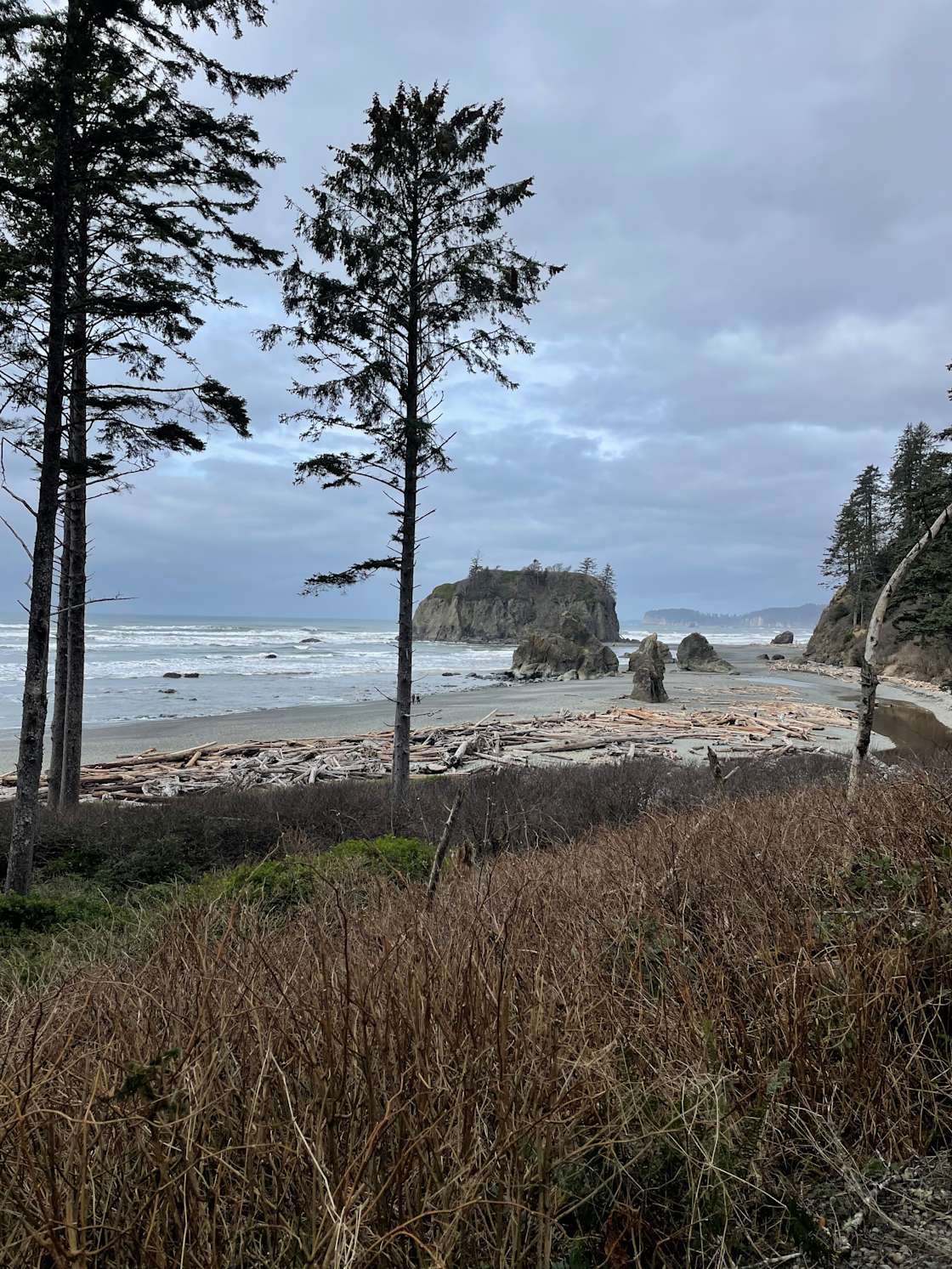 Resting place - Hipcamp in Copalis Beach, Washington