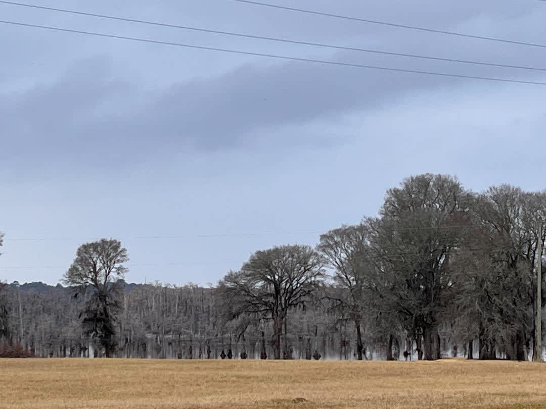 Lakeview RV park Hipcamp in Campti, Louisiana