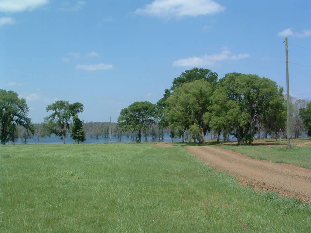Lakeview RV park Hipcamp in Campti, Louisiana