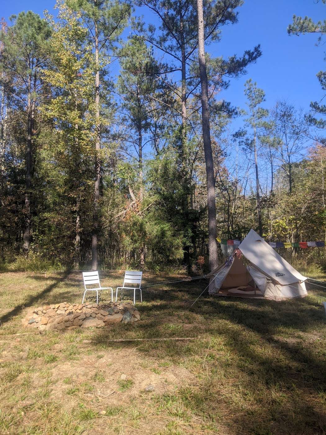 Raven Micro Farm LLC Hipcamp in Pageland, South Carolina