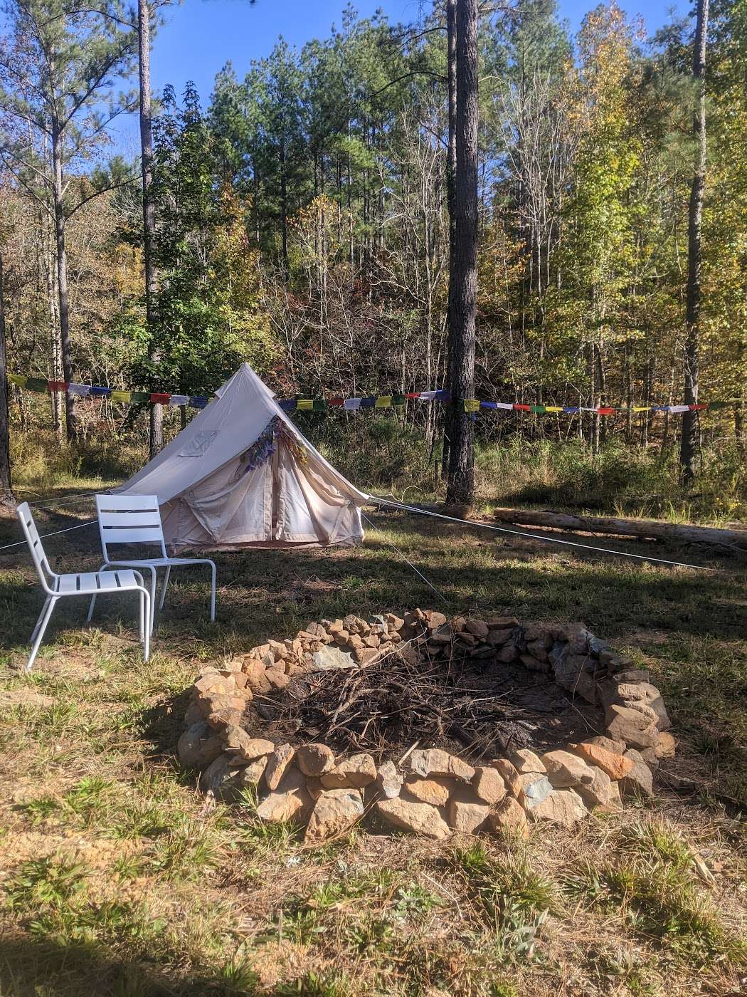 Raven Micro Farm LLC Hipcamp in Pageland, South Carolina
