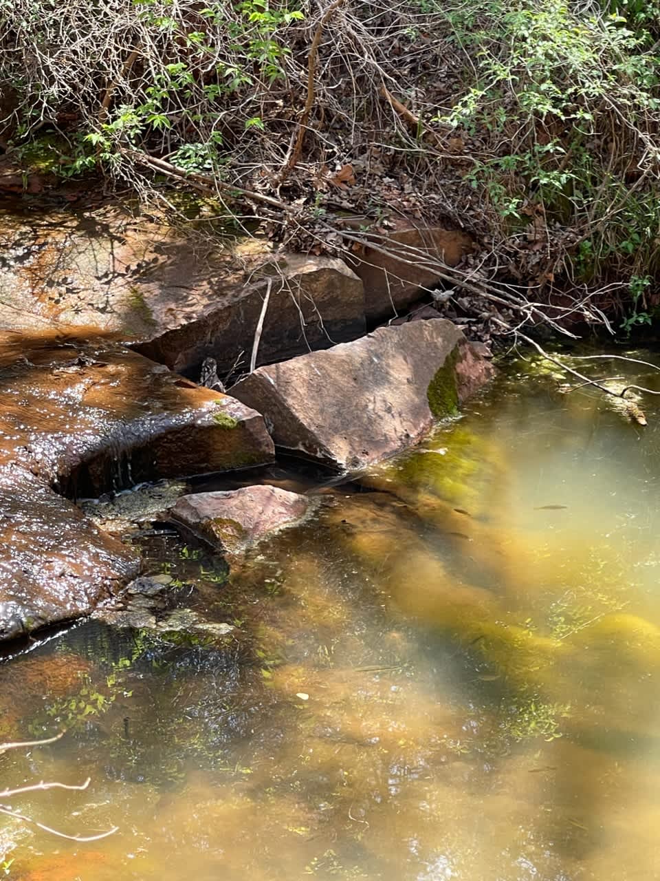 Iconium Farms Hipcamp in Langston, Oklahoma