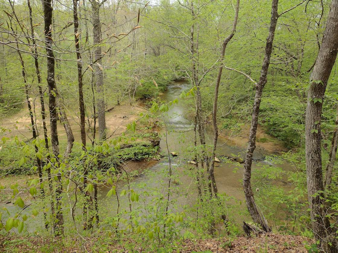 Bug Tussle Creek Bend - Hipcamp in Colony, Alabama