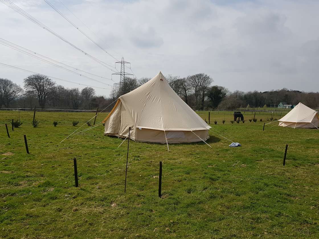 Hastings 1066 Camping and Glamping Hipcamp in Battle, England