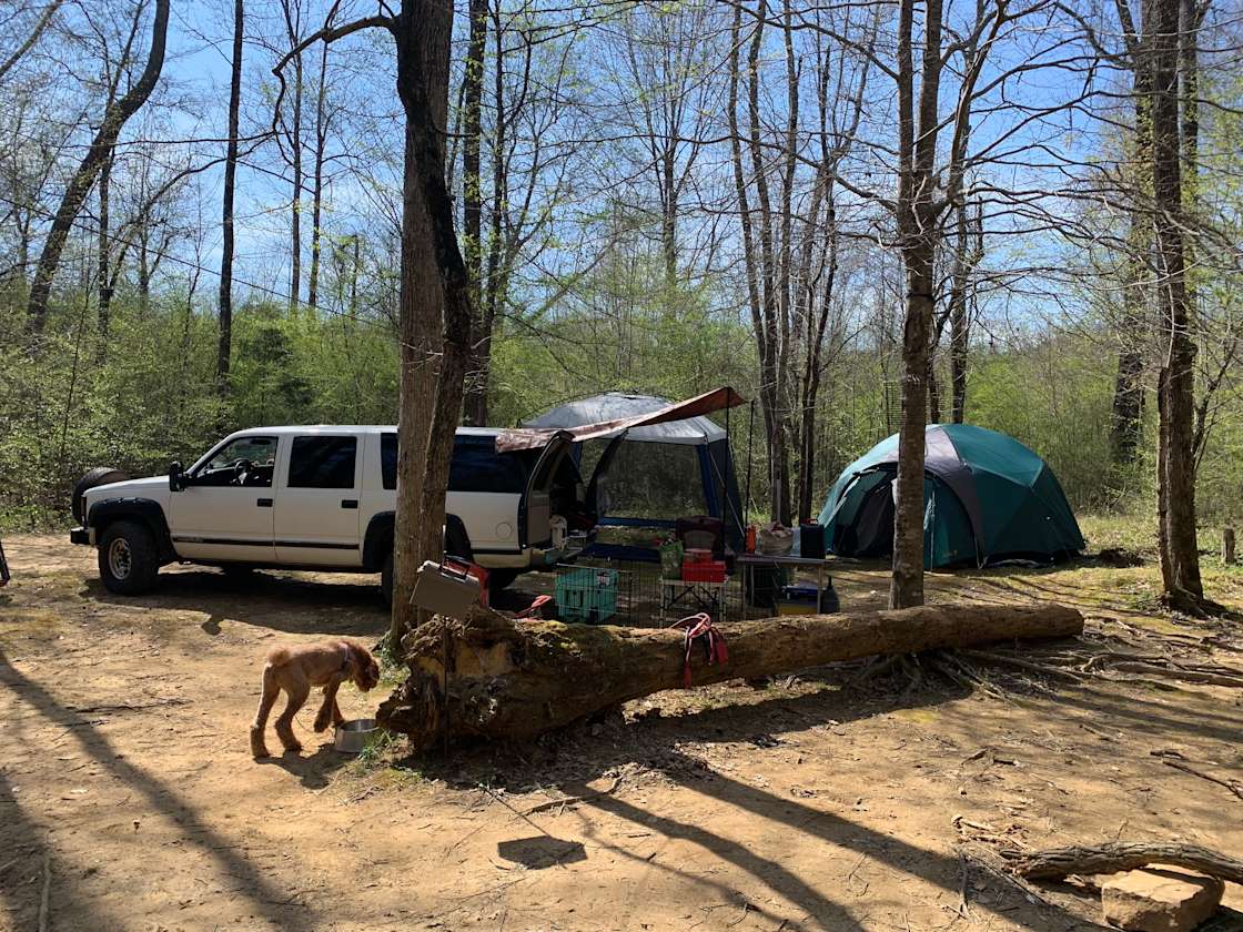 Bug Tussle Creek Bend - Hipcamp in Colony, Alabama