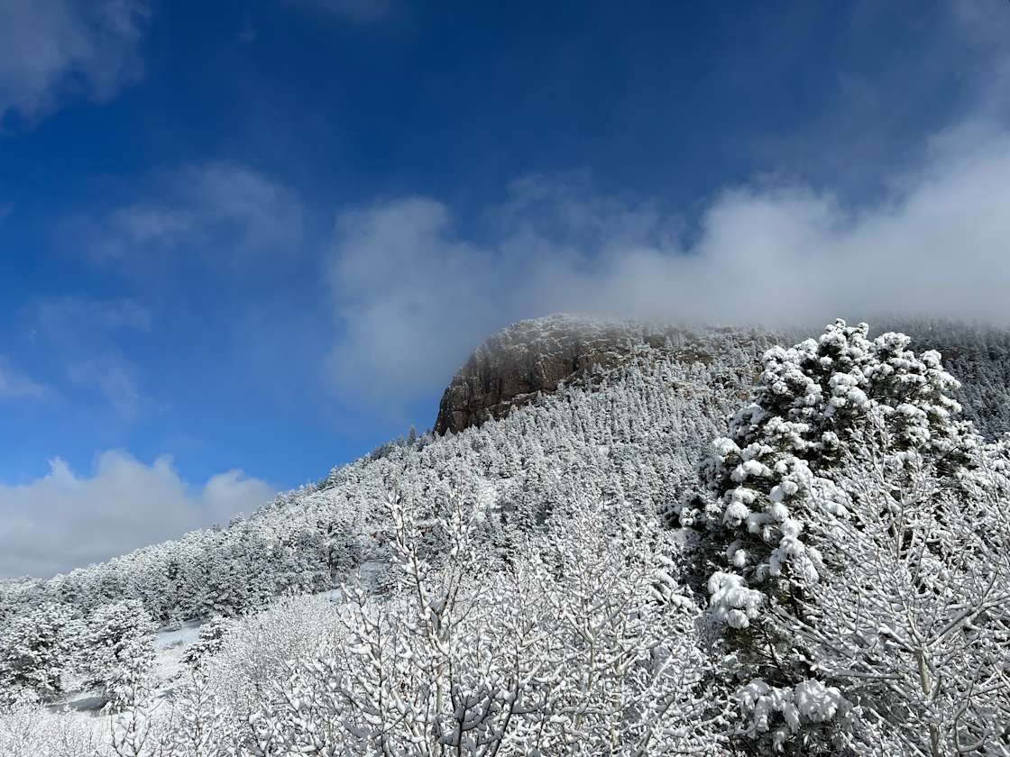 Lone Rock Retreat Hipcamp in Bailey, Colorado