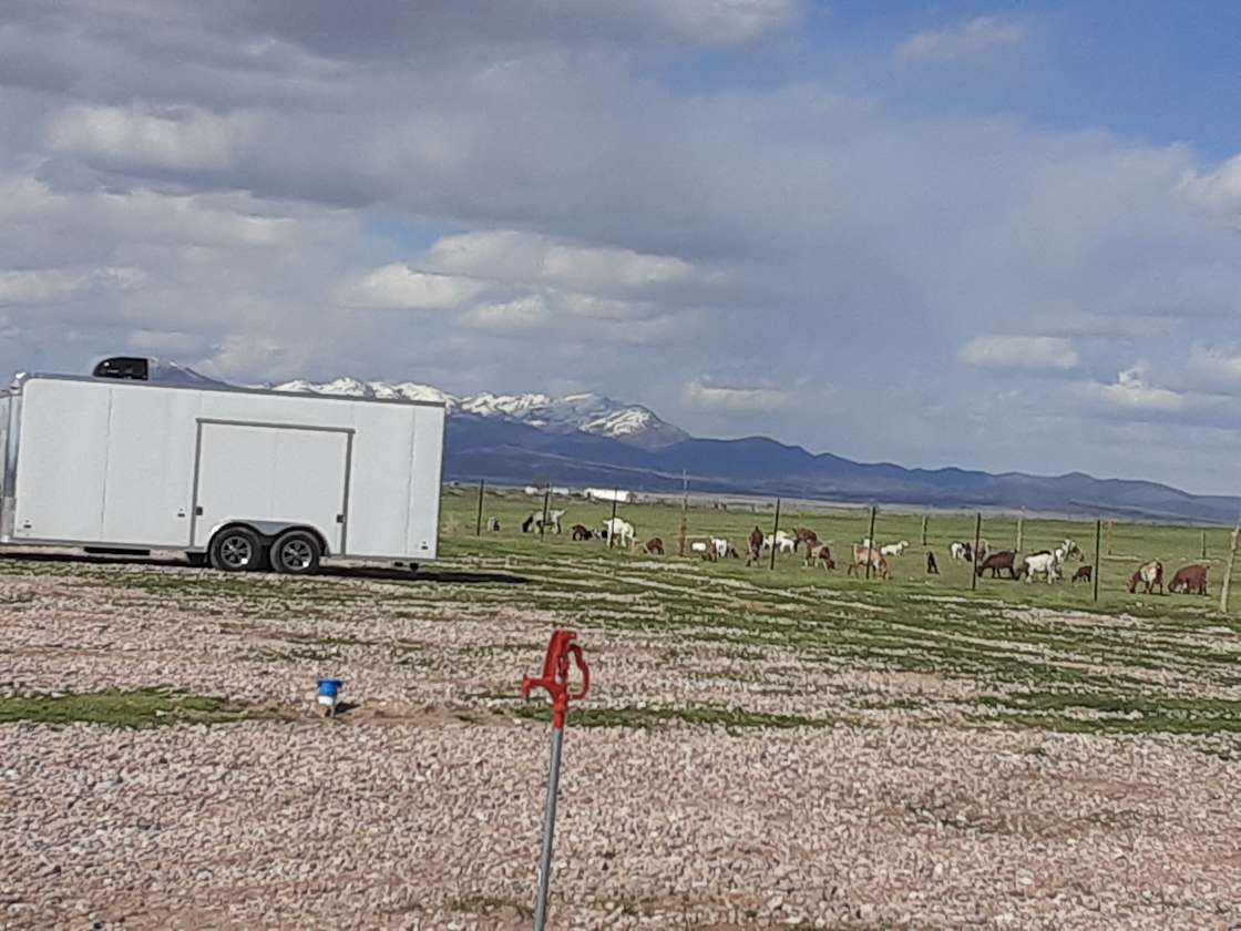 Pahvant Homestead and Goat Ranch Hipcamp in Fillmore, Utah