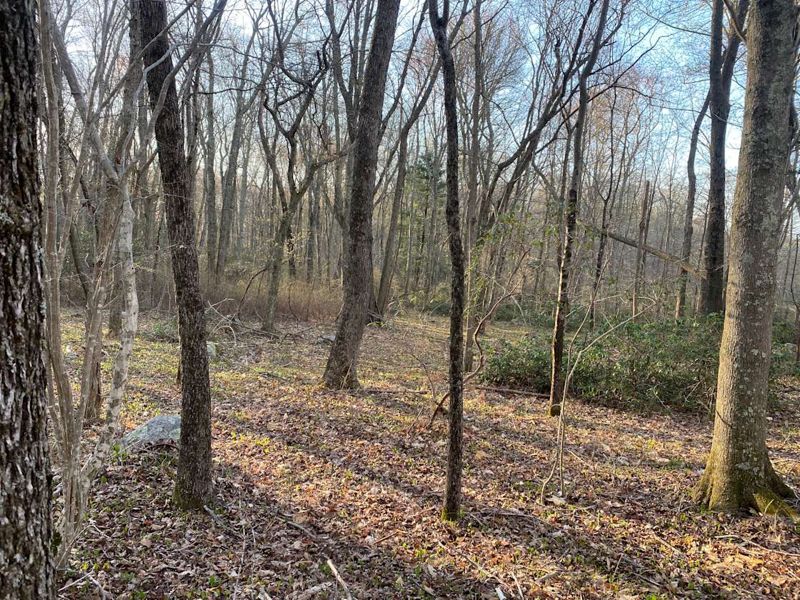 Chestnut Hill Vineyard Hipcamp in Hopkinton, Rhode Island