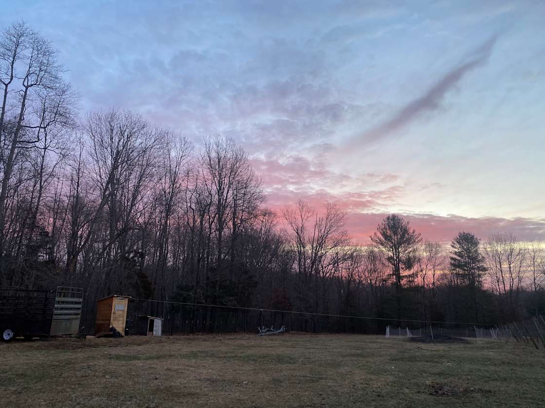 Chestnut Hill Vineyard Hipcamp in Hopkinton, Rhode Island