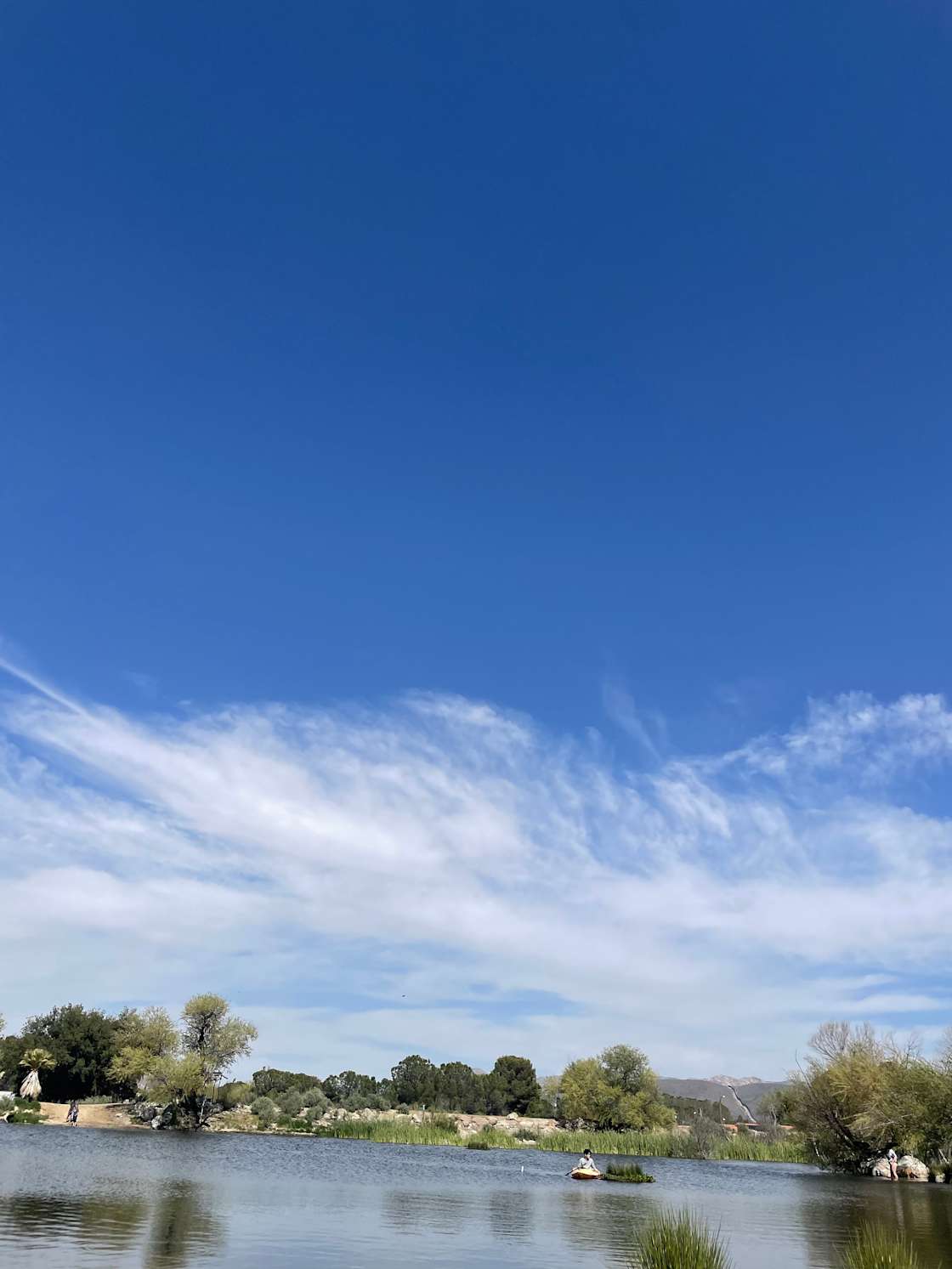 Jacumba heights Hipcamp in Jacumba Hot Springs, California