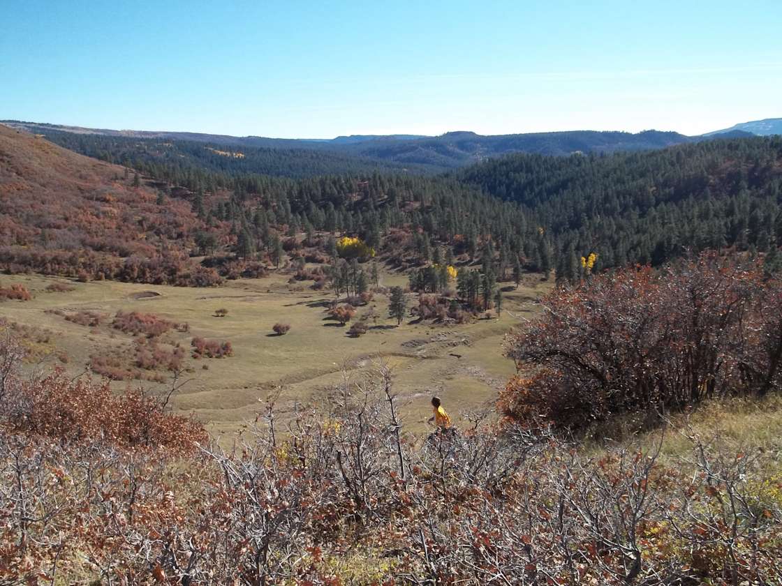 Prairie Oasis Hipcamp in Rocky Ford, Colorado