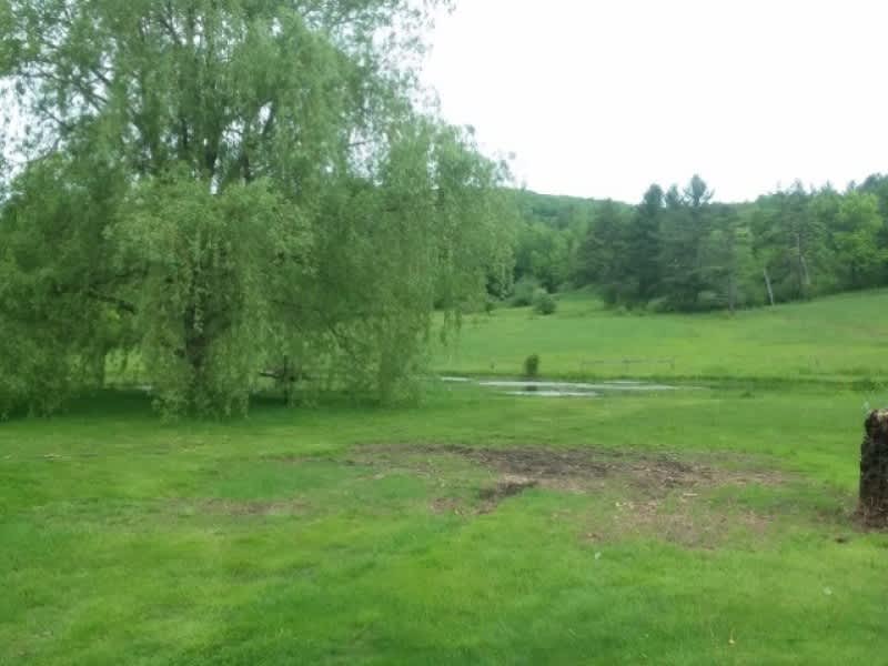 Meadowsweet Farm Hipcamp in Saxtons River, Vermont