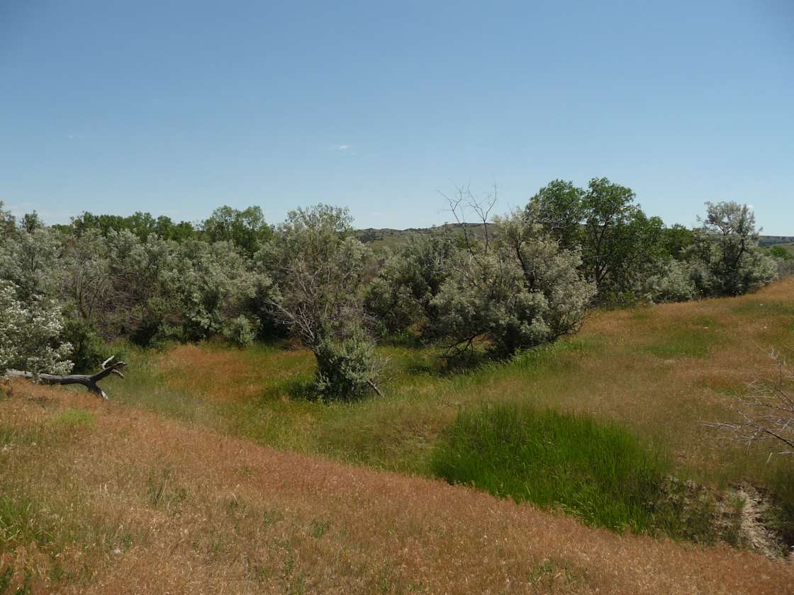 Home Ranch LLC Hipcamp in Wasta, South Dakota
