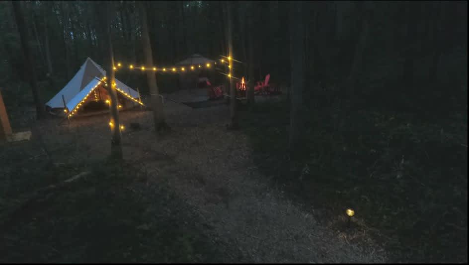 Hudson Habitat 50 acres of forest Hipcamp in Campbellcroft, Ontario