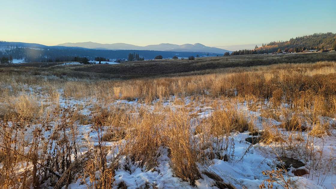 Starry Sky Ranch Hipcamp in Addy, Washington