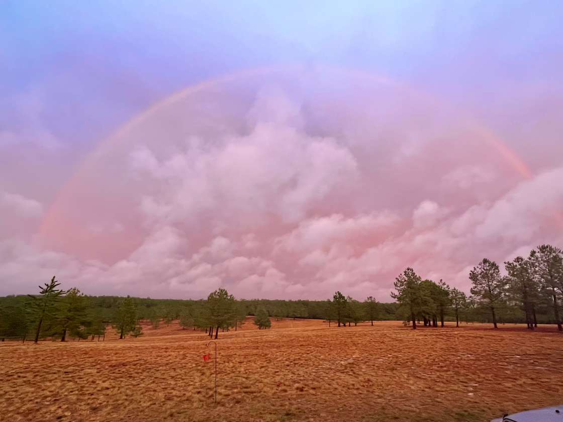 Nomad's Nest Hipcamp in Patrick, South Carolina