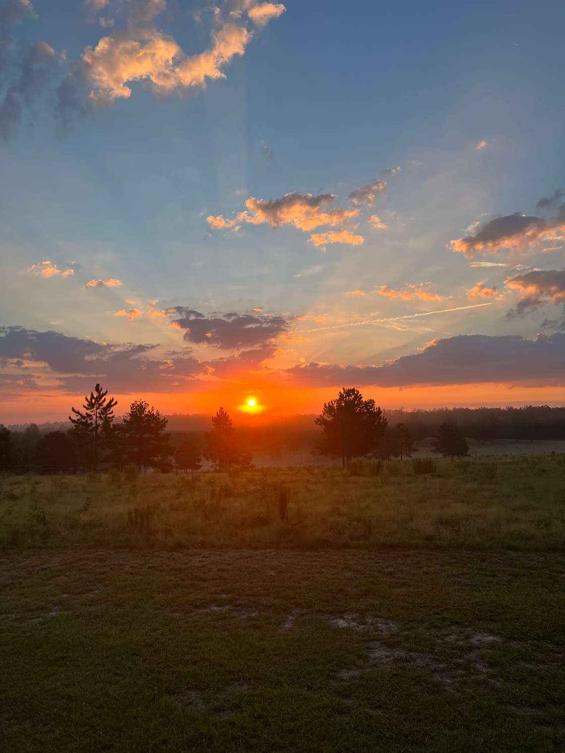 Nomad's Nest Hipcamp in Patrick, South Carolina
