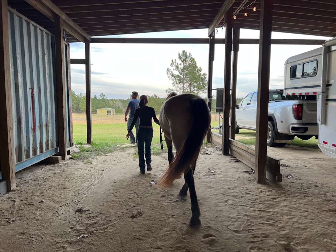 Nomad's Nest Hipcamp in Patrick, South Carolina