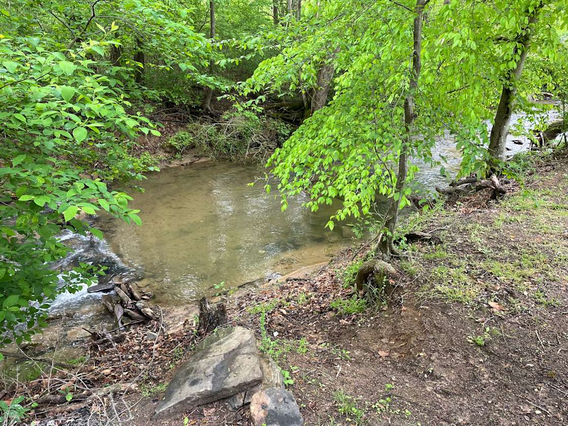 Sleepy Creek Farm Hipcamp In Moravian Falls North Carolina sleepy-creek-farm-hipcamp-in-moravian-falls-north-carolina