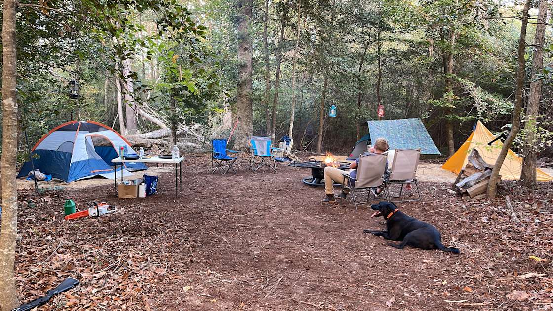 Swift creek campground Hipcamp in Vanceboro, North Carolina