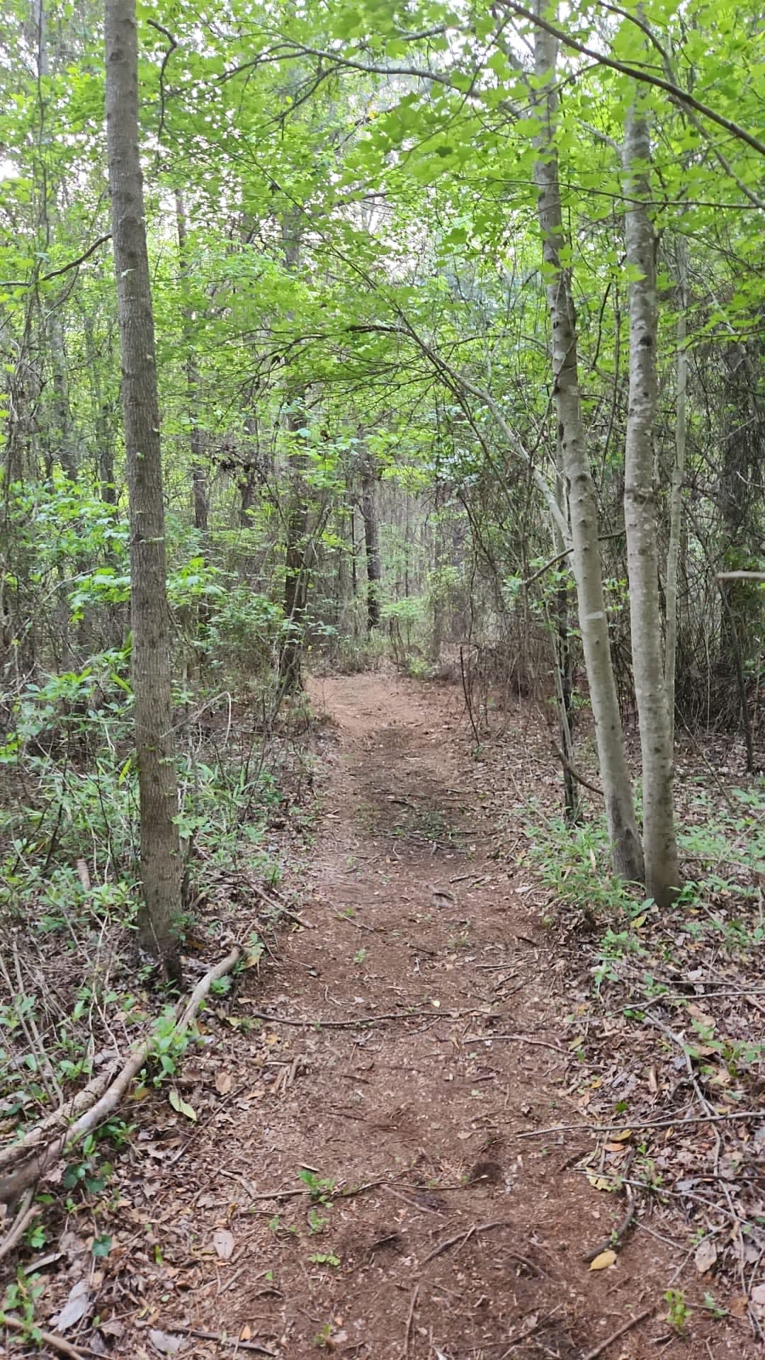 Swift creek campground Hipcamp in Vanceboro, North Carolina