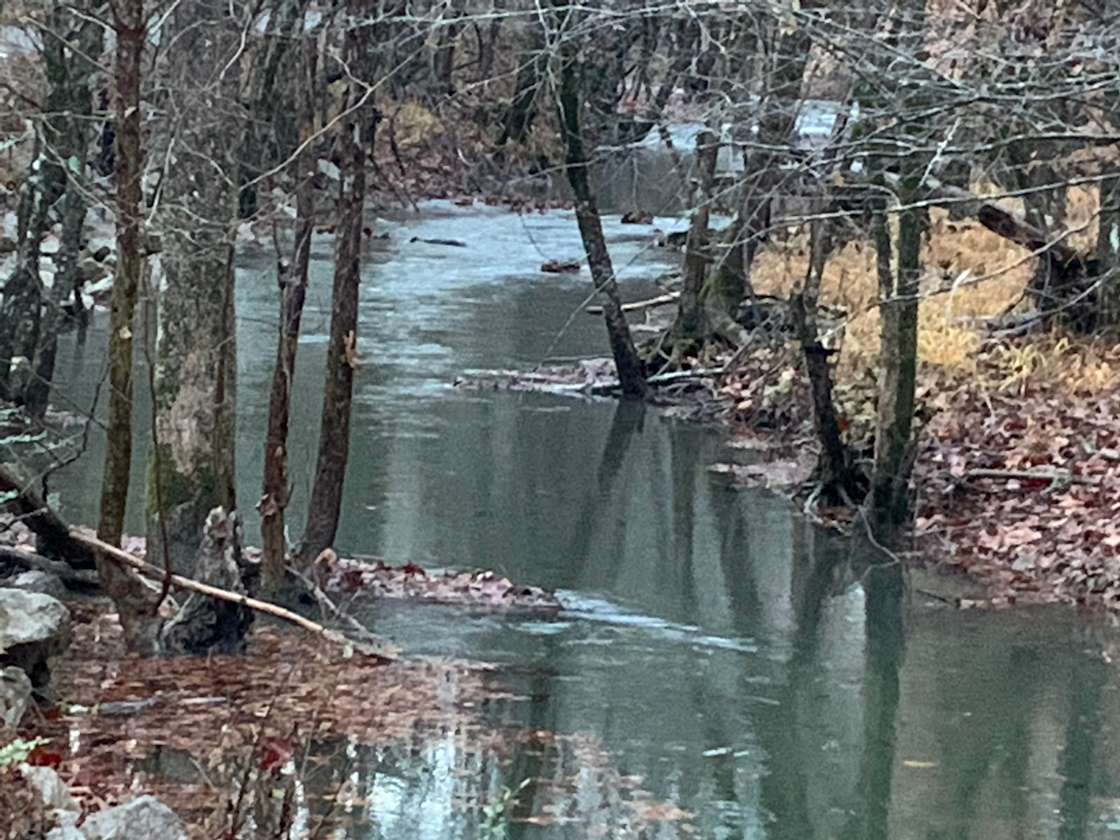 Redfern Glampgrounds Hipcamp in South Pittsburg, Tennessee