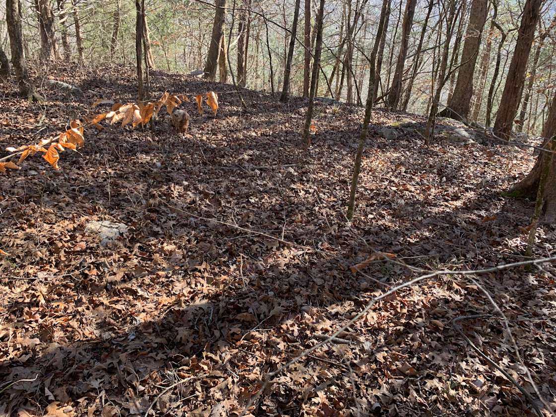 Redfern Glampgrounds Hipcamp in South Pittsburg, Tennessee