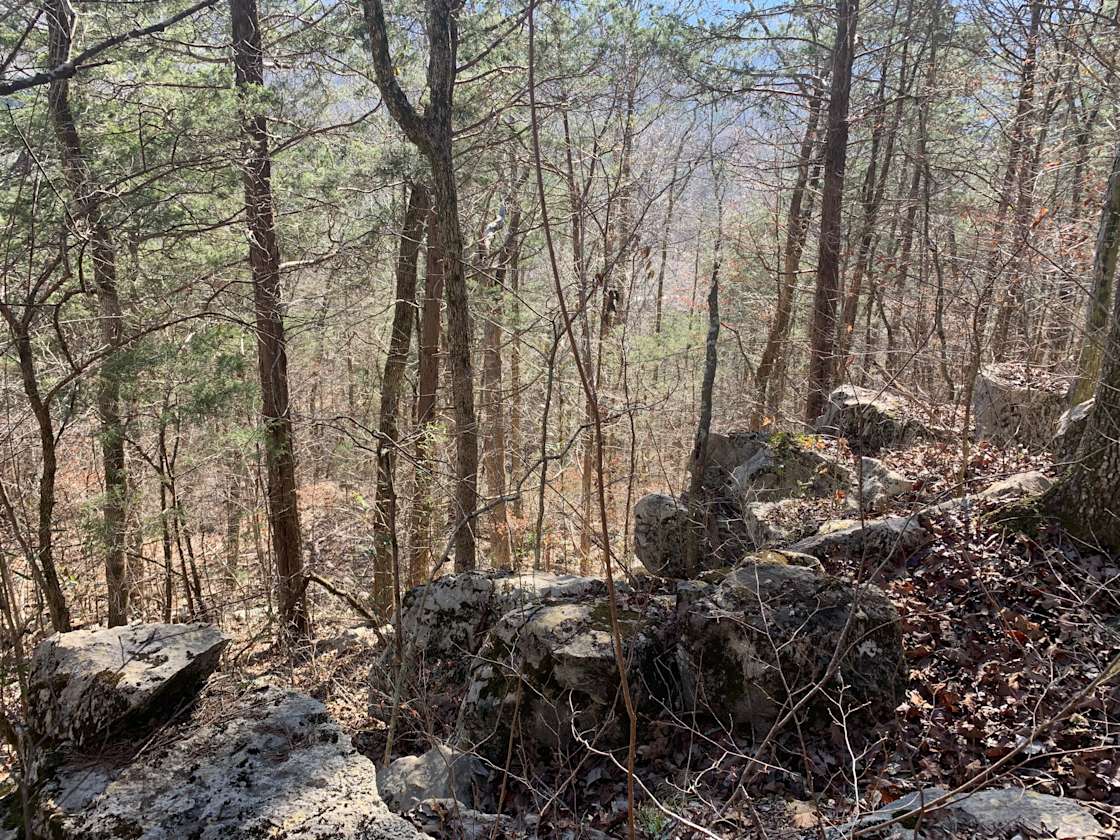 Redfern Glampgrounds Hipcamp in South Pittsburg, Tennessee