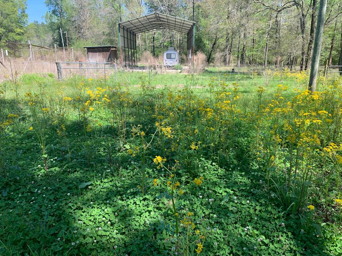 New Liberty Landing Hipcamp in Sandersville, Mississippi