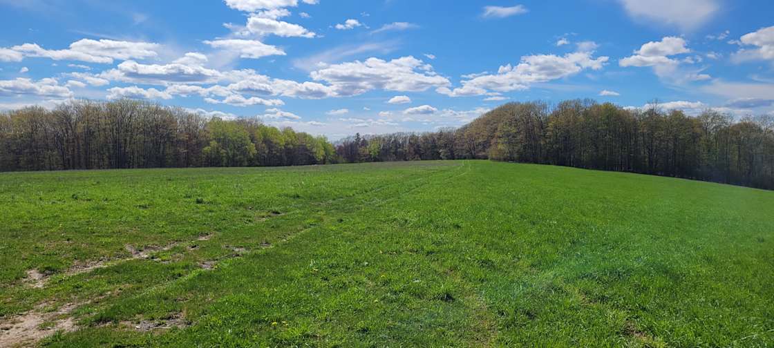 Havens point Hipcamp in Millport, New York